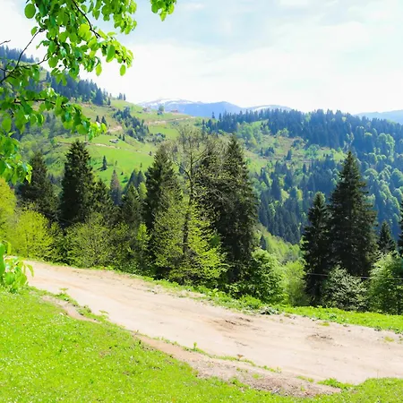 Mayben Uzungöl Otel Caykara
